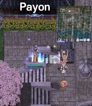 payon stories wiki